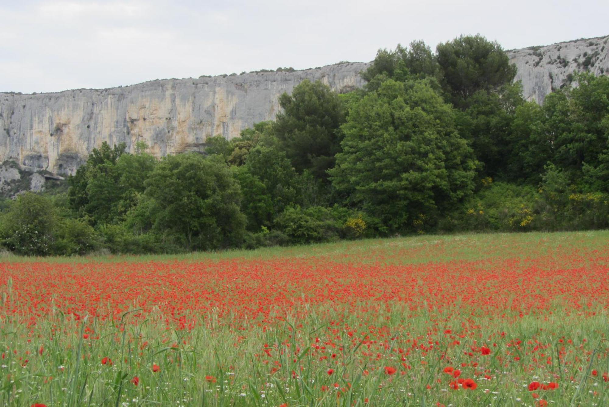 Les Cistes Villa Lioux Luaran gambar