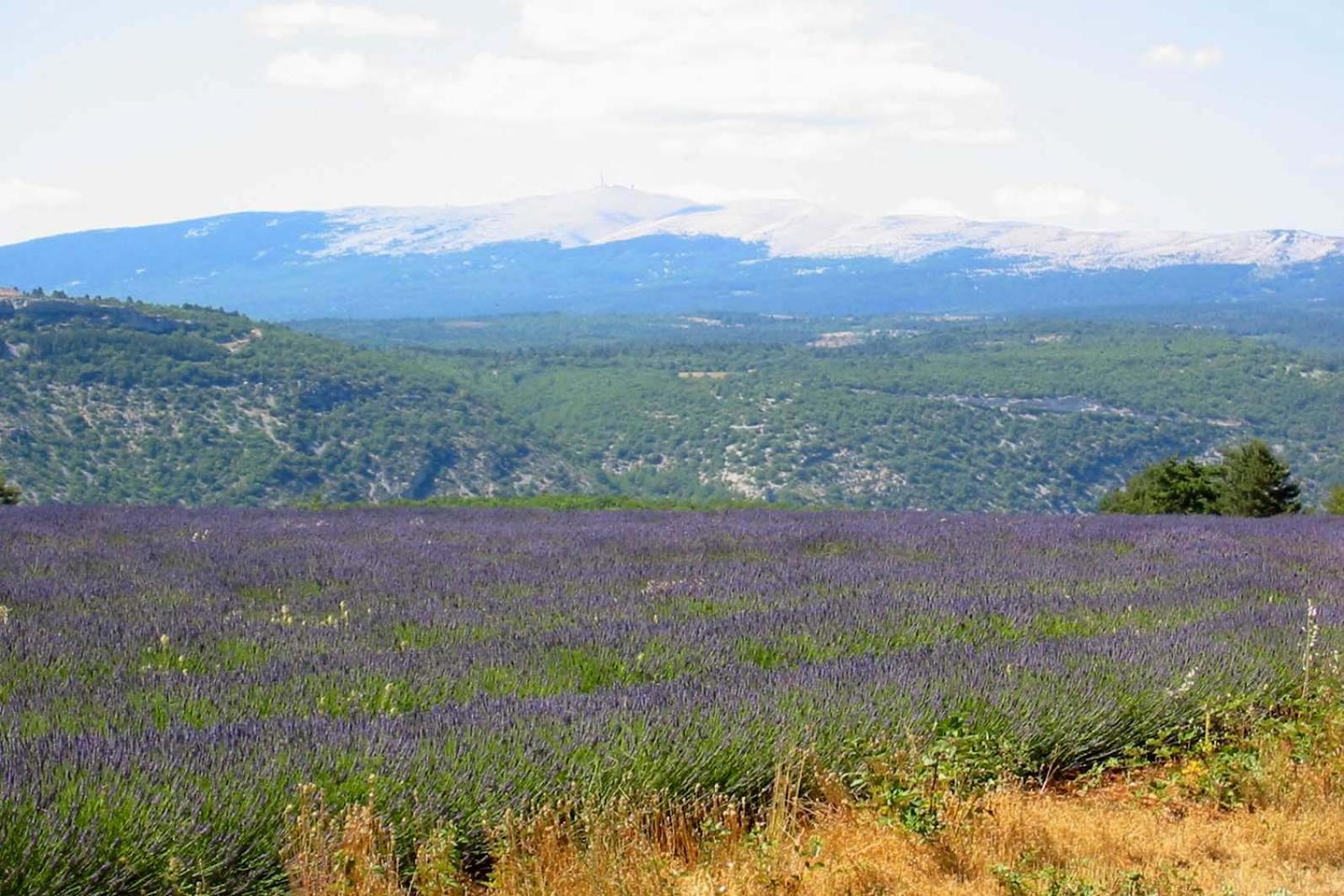 Les Cistes Villa Lioux Luaran gambar