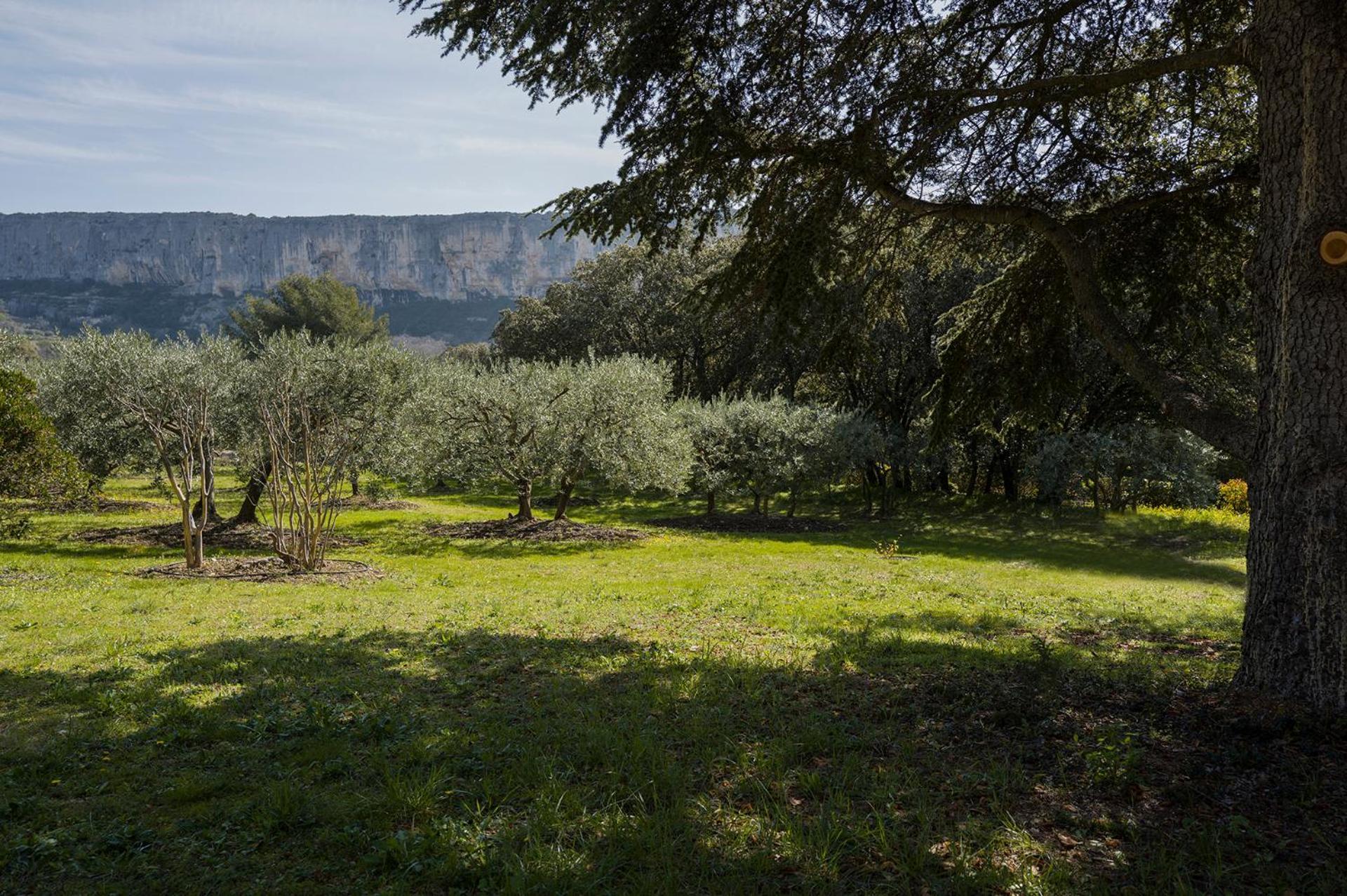 Les Cistes Villa Lioux Luaran gambar