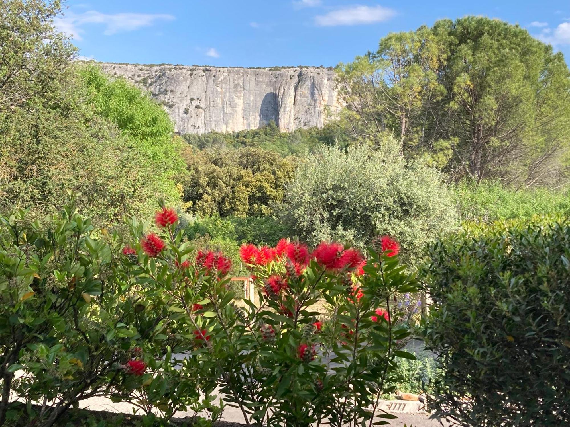 Les Cistes Villa Lioux Luaran gambar